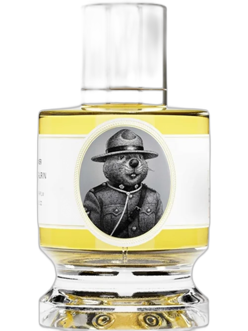 Beaver Maple Edition by Zoologist
