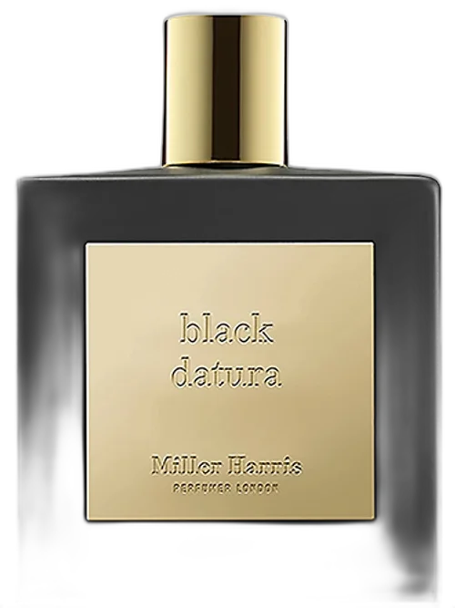 Black Datura 2023 by Miller Harris