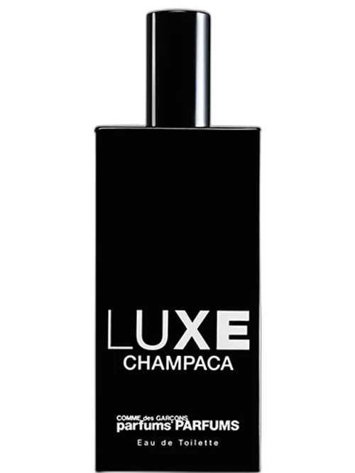 Champaca by Comme Des Garçons