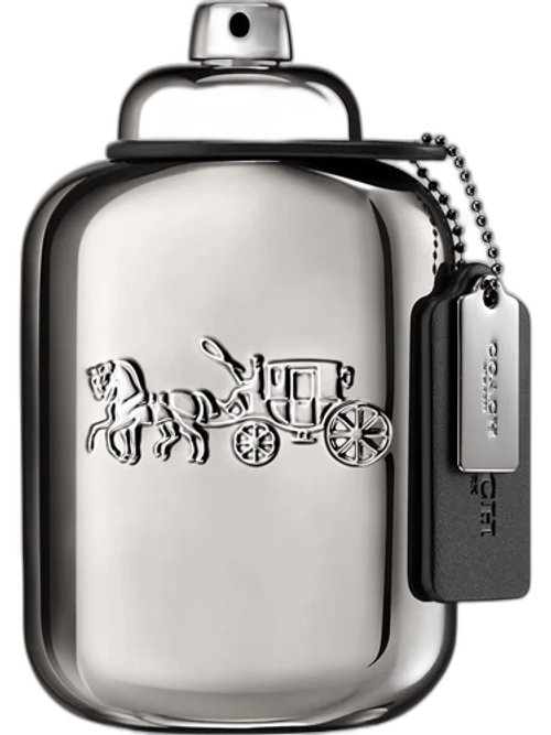 Pure Platinum by Coach