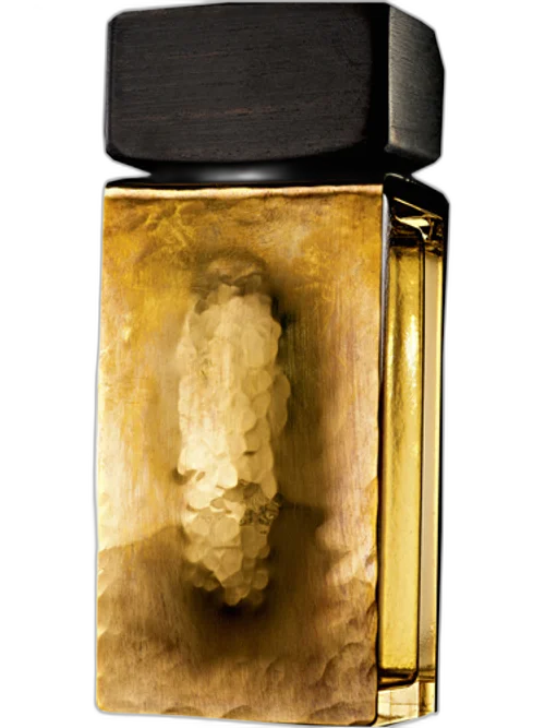 Donna Karan Gold by Donna Karan Dkny