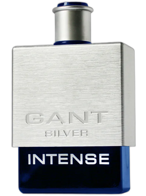Silver Intense by Gant