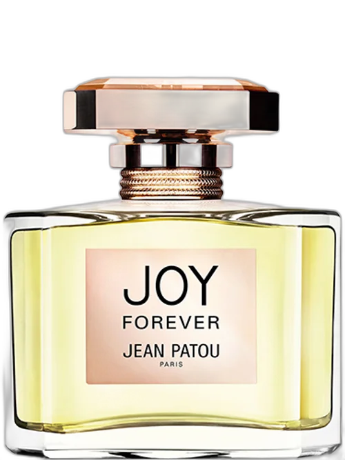 Joy Forever by Patou