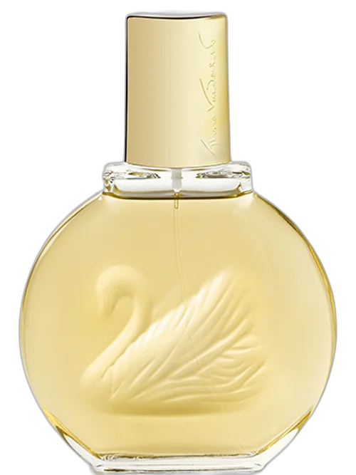 Miss by Vanderbilt