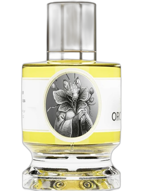 Orchid Mantis by Zoologist