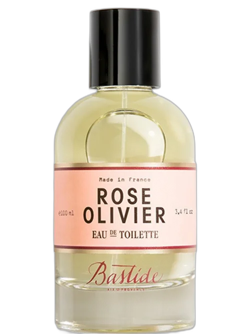 Rose Olivier by Bastide