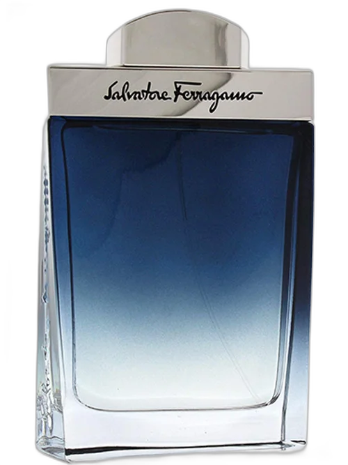 Subtil Pour Homme by Salvatore Ferragamo