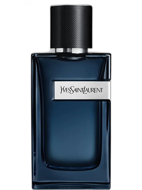 Y Intense by Yves Saint Laurent