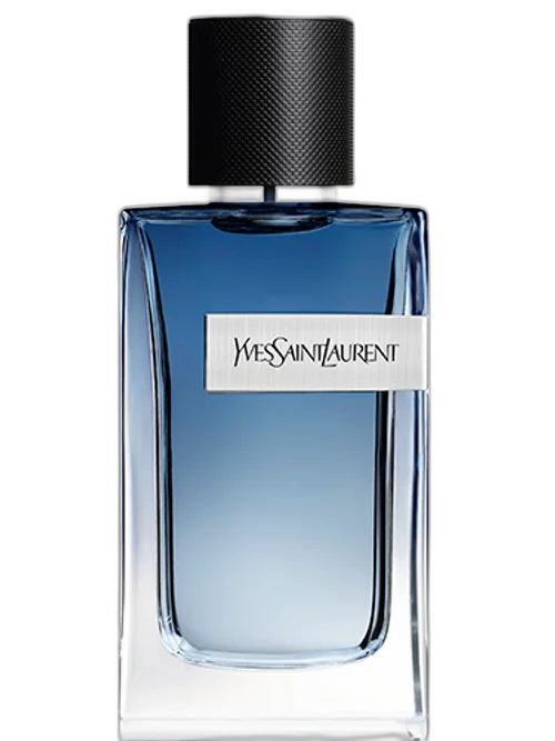 Y Live Intense by Yves Saint Laurent