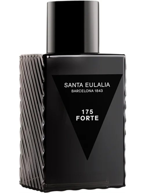 175 Forte by Santa Eulalia