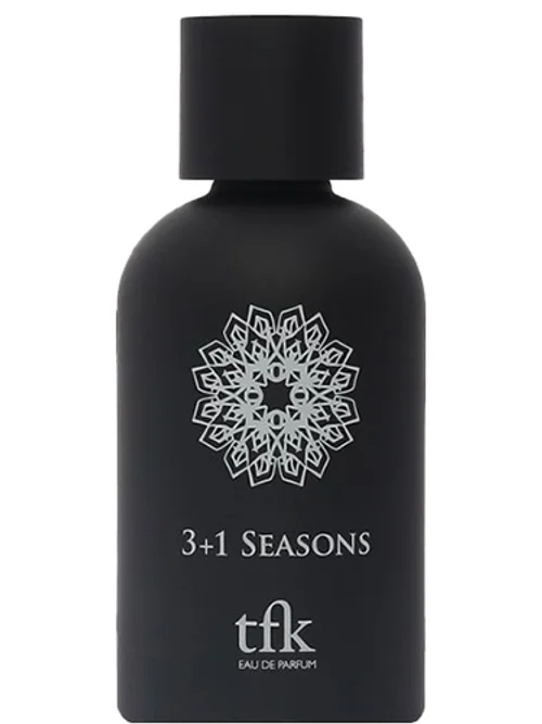 3+1 Seasons by Tfk