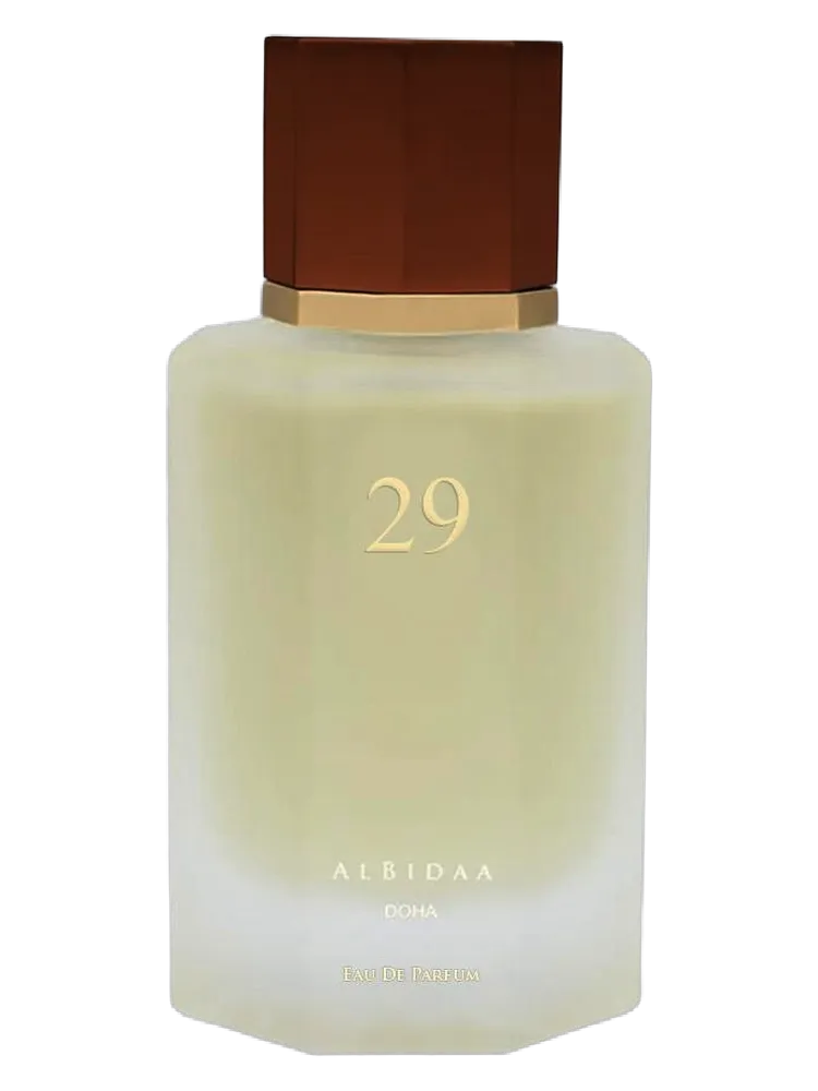 Nº29 by AlBidaa