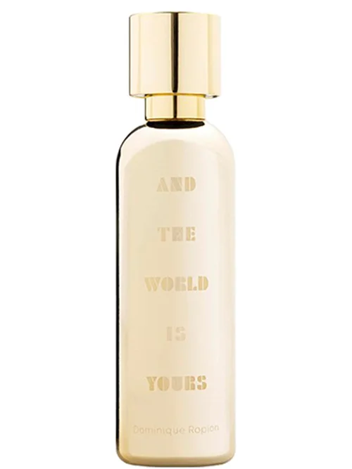 And The World Is Yours by A Lab On Fire