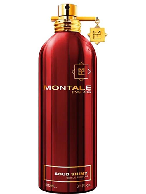 Aoud Shiny by Montale