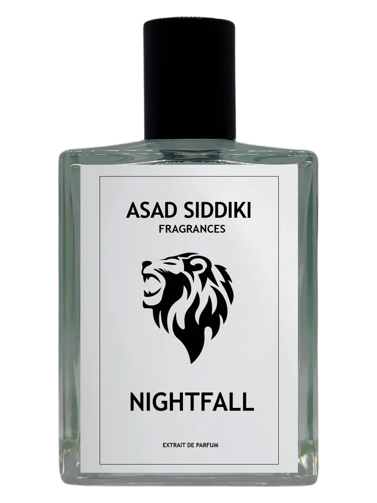Nightfall by Asad Siddiki