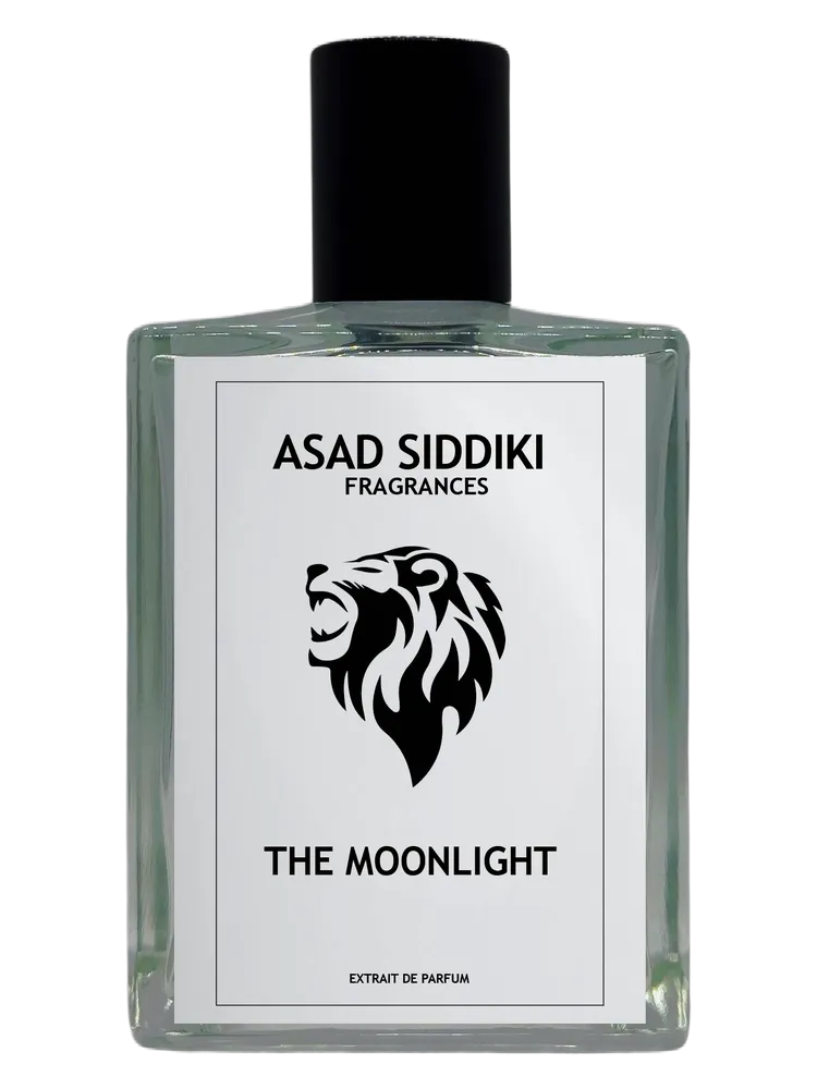 The Moonlight by Asad Siddiki