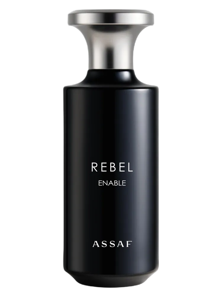 Rebel by Assaf