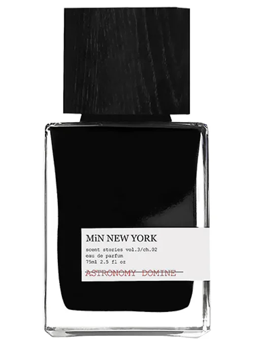 Astronomy Domine by Min New York