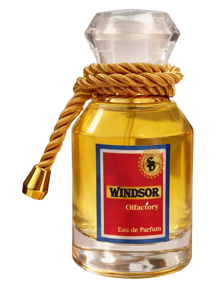 Windsor by Atelier Segall & Barutti