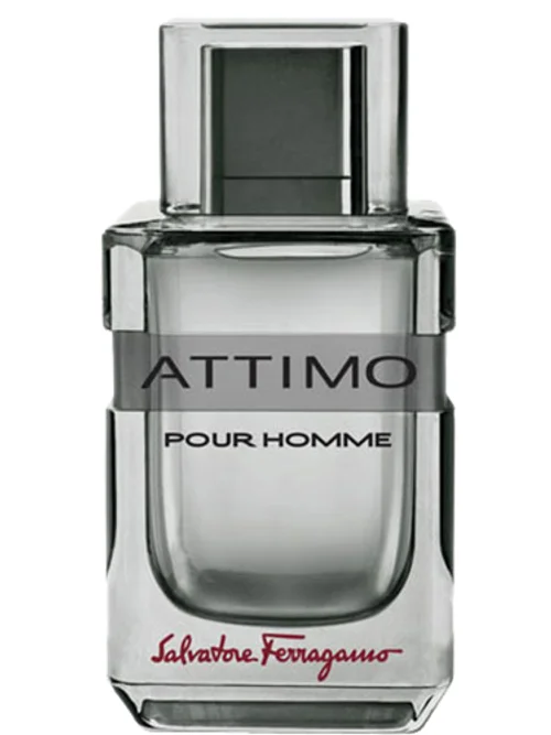 Attimo Pour Homme by Salvatore Ferragamo