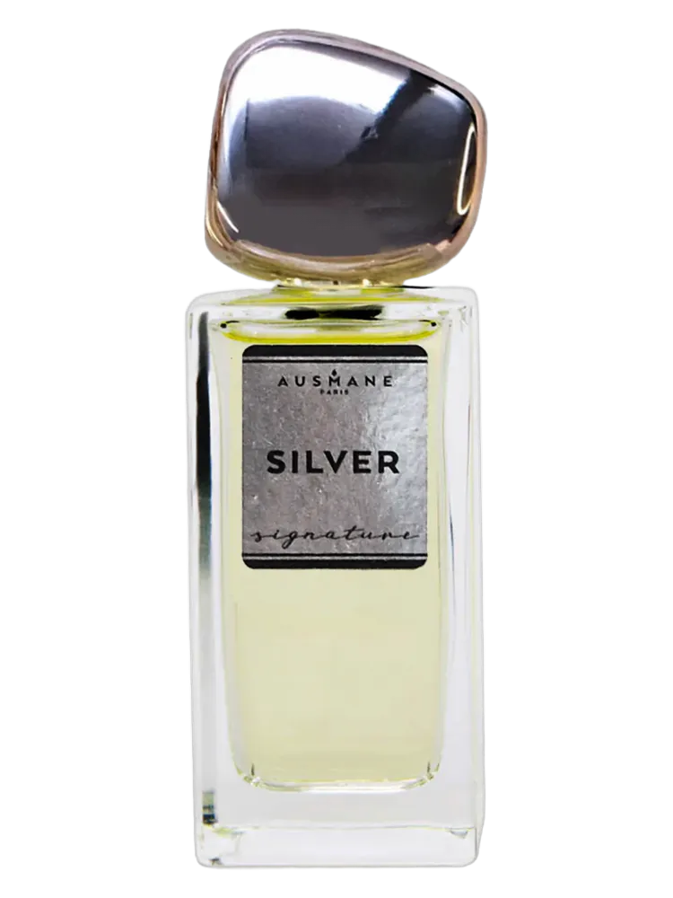 Silver by Ausmane Paris