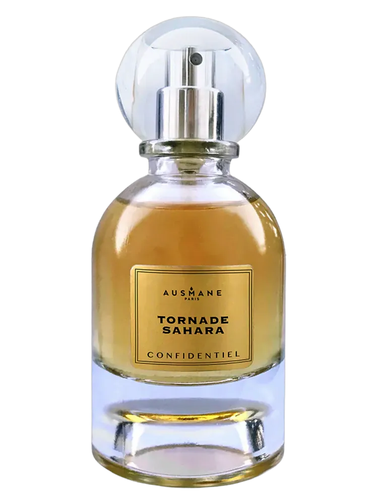 Tornade Sahara by Ausmane Paris