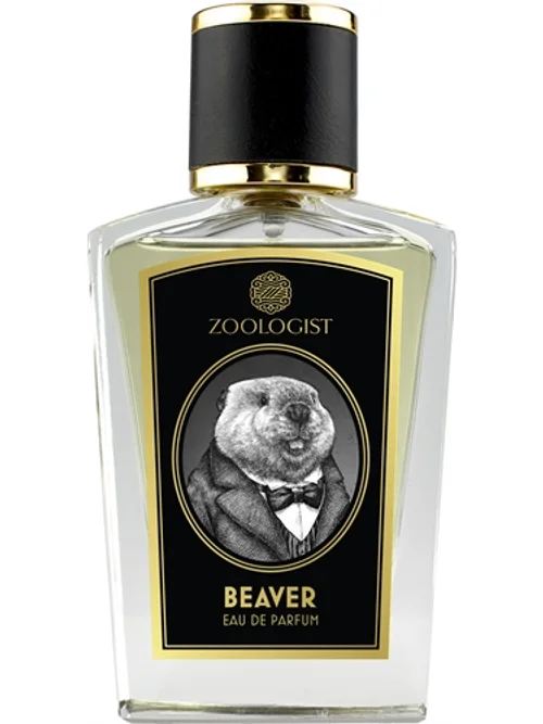 Beaver by Zoologist