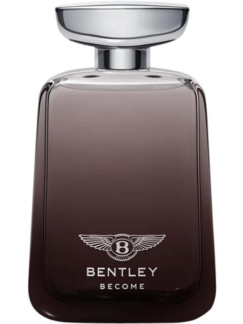 Become Zenith by Bentley
