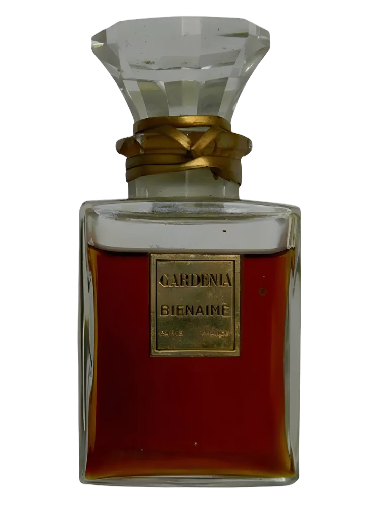 Gardénia by Bienaimé