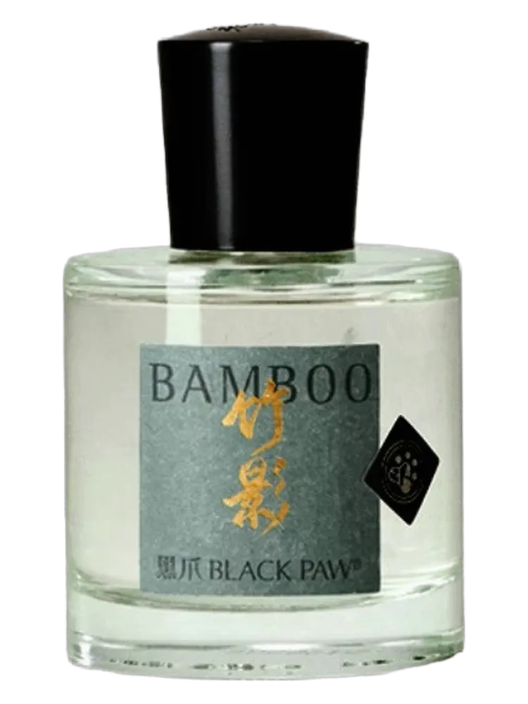 Bamboo 竹影 by Black Paw