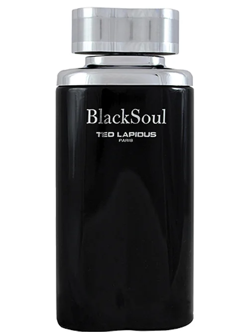 Blacksoul by Ted Lapidus