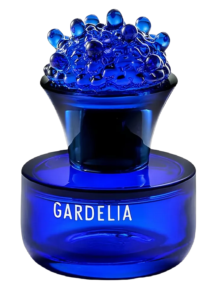 Gardelia 2025 by Bogue