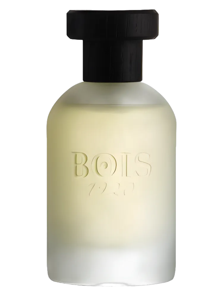 Sandalo E The by Bois 1920