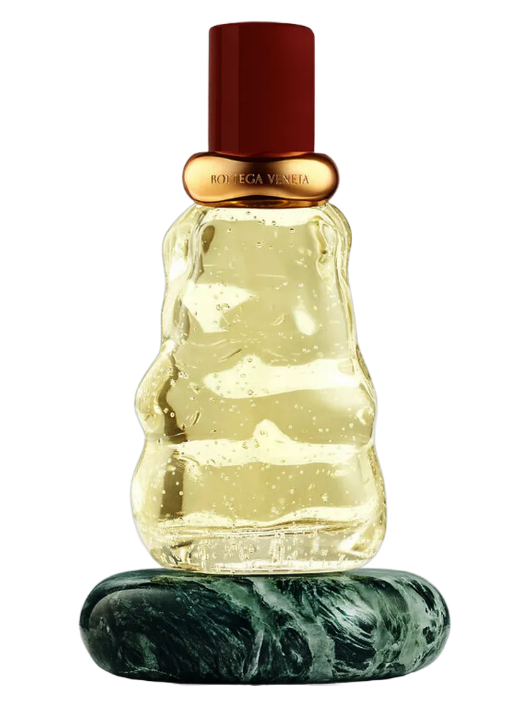 Come With Me by Bottega Veneta