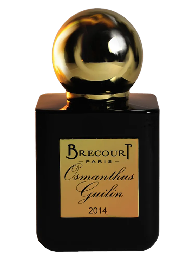 Osmanthus Guilin by Brecourt