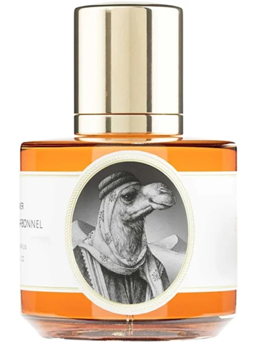 Camel by Zoologist