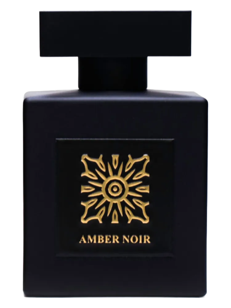 Amber Noir by Camille Rochelle