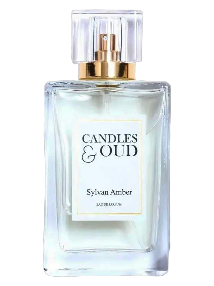 Sylvan Amber by Candles & Oud
