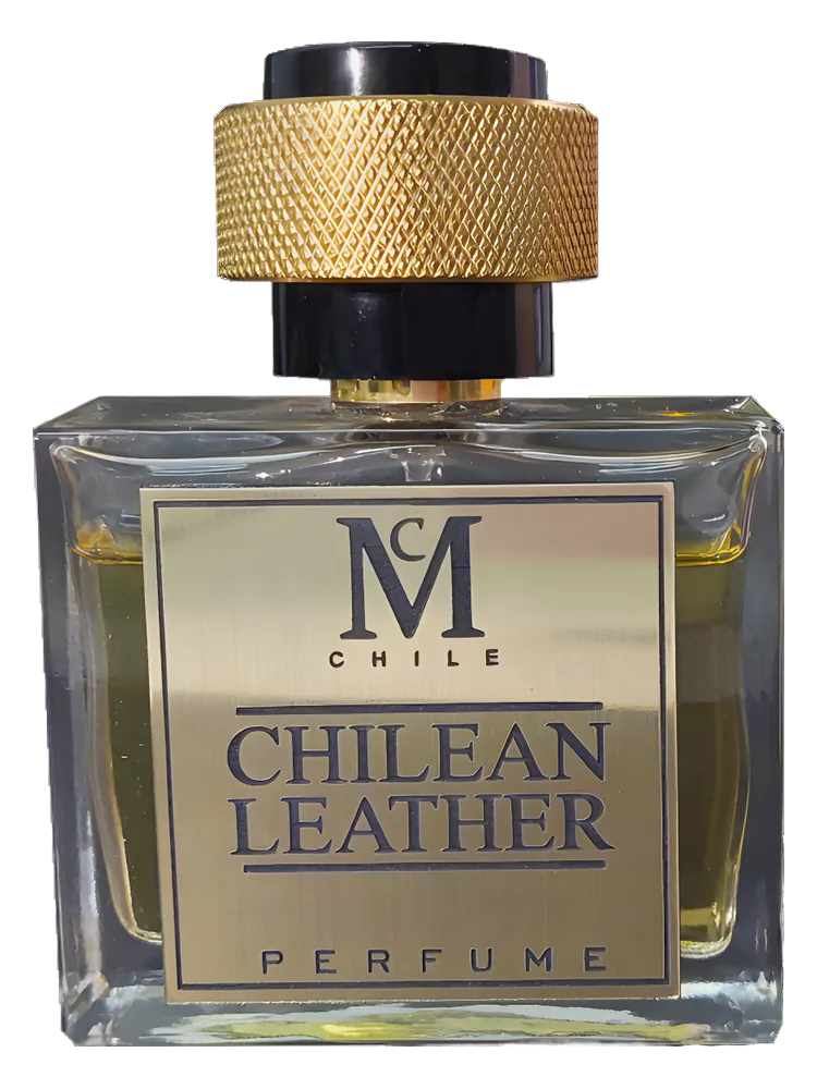 Chilean Leather by Casaniche