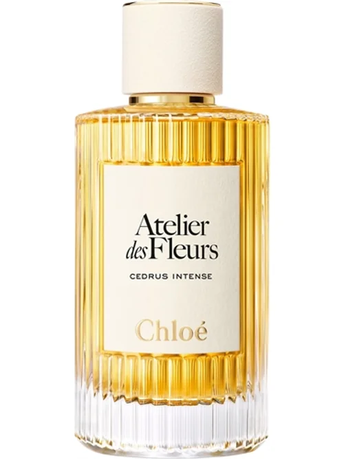 Cedrus Intense by Chloé