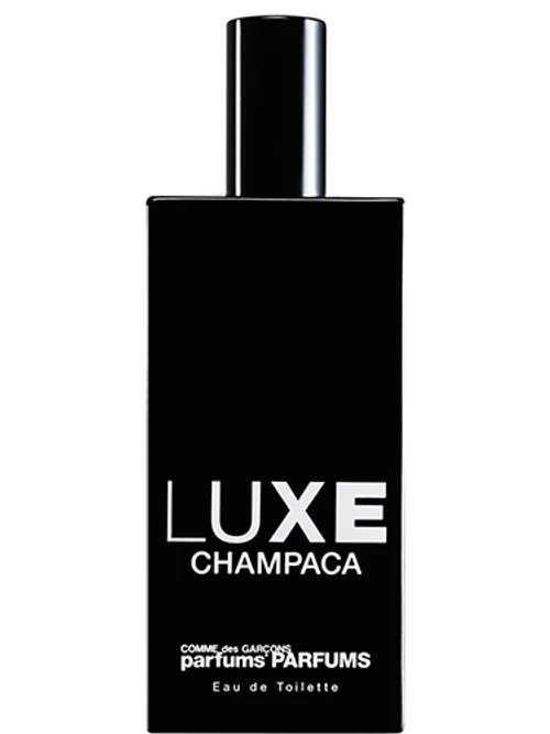 Champaca by Comme Des Garçons