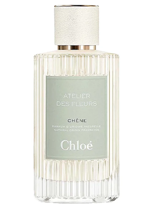 Chêne by Chloé
