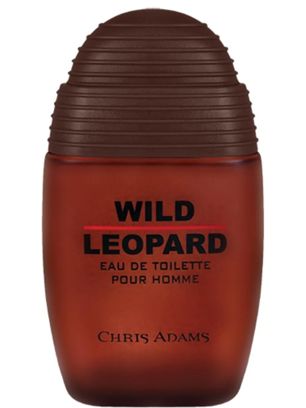 Wild Leopard by Chris Adams