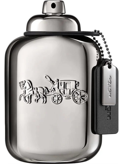 Pure Platinum by Coach