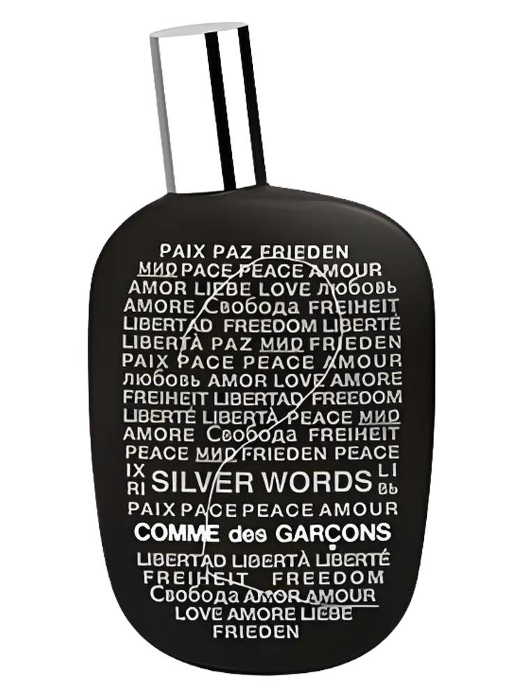 Comme des Garcons 2 Silver Words by Comme Des Garçons