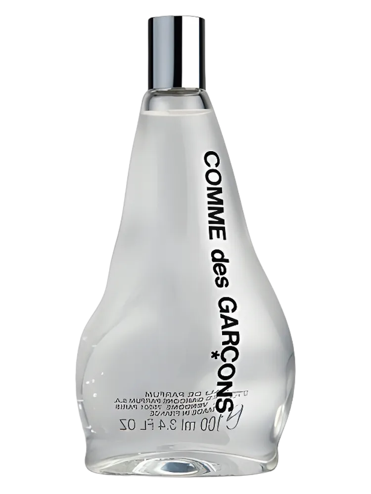 Comme des Garcons 2011 by Comme Des Garçons