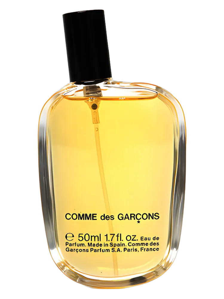 Comme Des Garçons by Comme Des Garçons