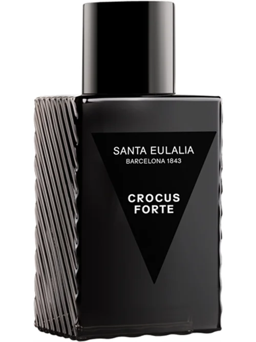 Crocus Forte by Santa Eulalia
