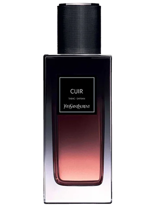 Cuir : Collection De Nuit by Yves Saint Laurent