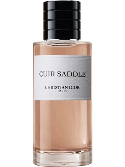 Cuir Saddle by Dior